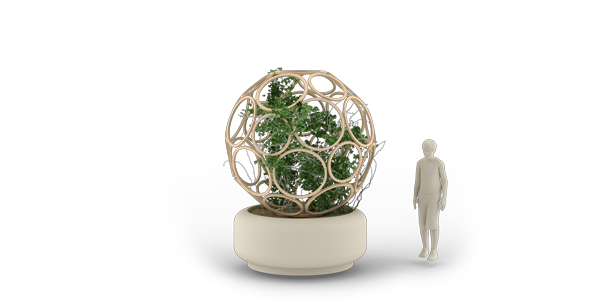 Bush 01: Truncated Icosahedron